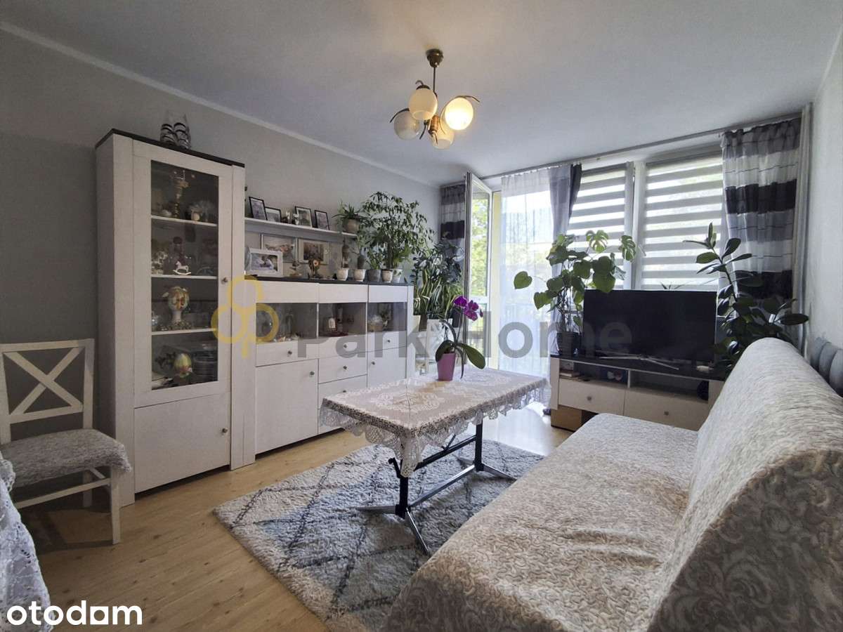 Mieszkanie 3 pokojowe, okazyjna cena