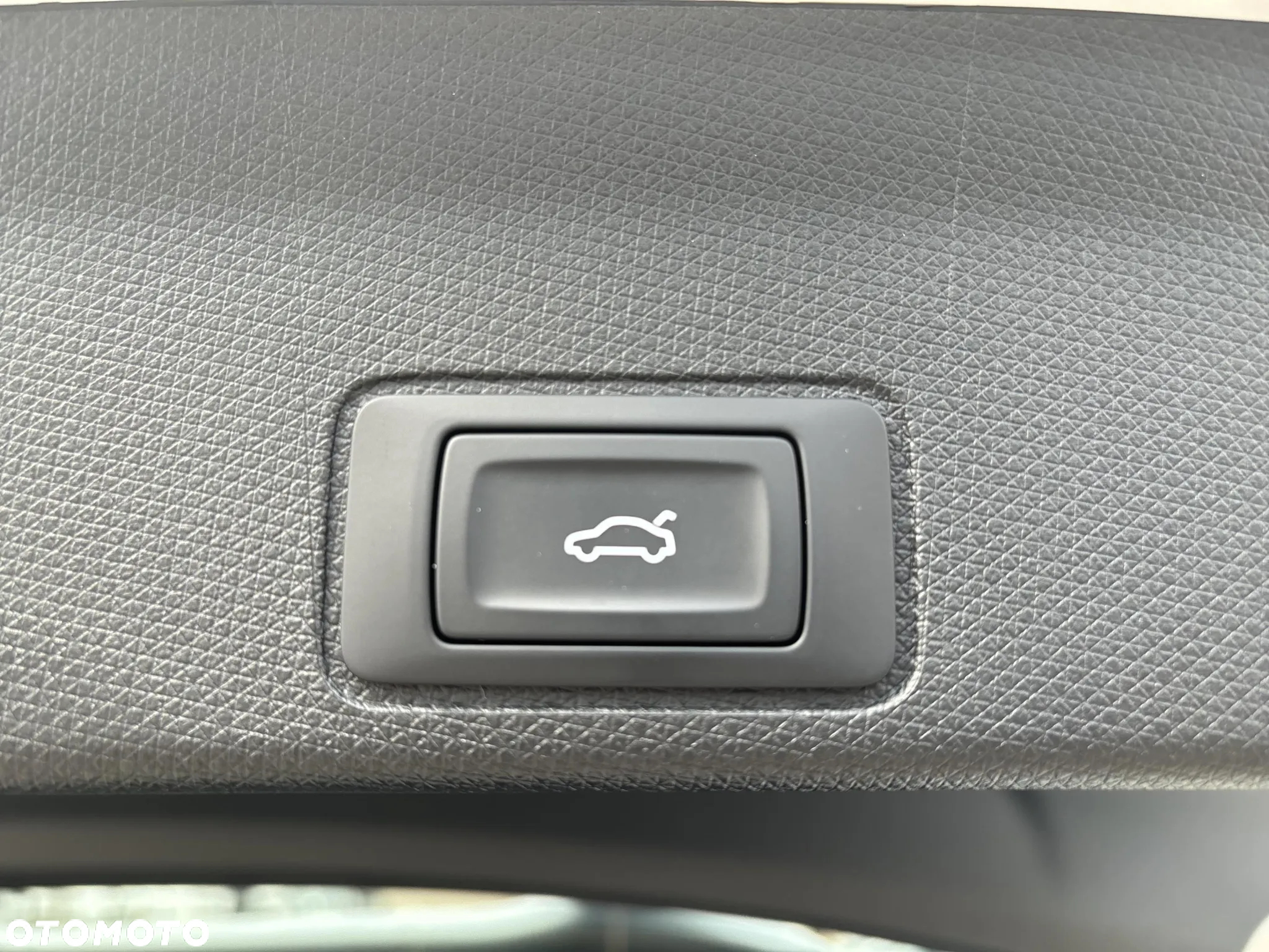 Cupra Terramar - 16