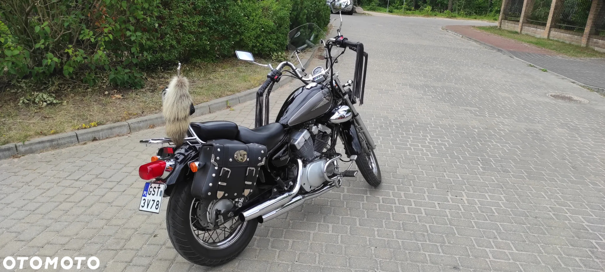 Yamaha Virago - 3
