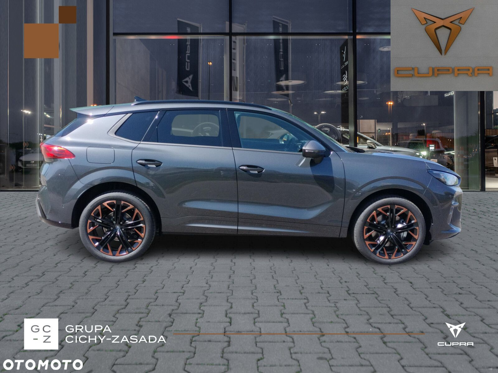 Cupra Terramar 2.0 TSI 4Drive DSG - 6