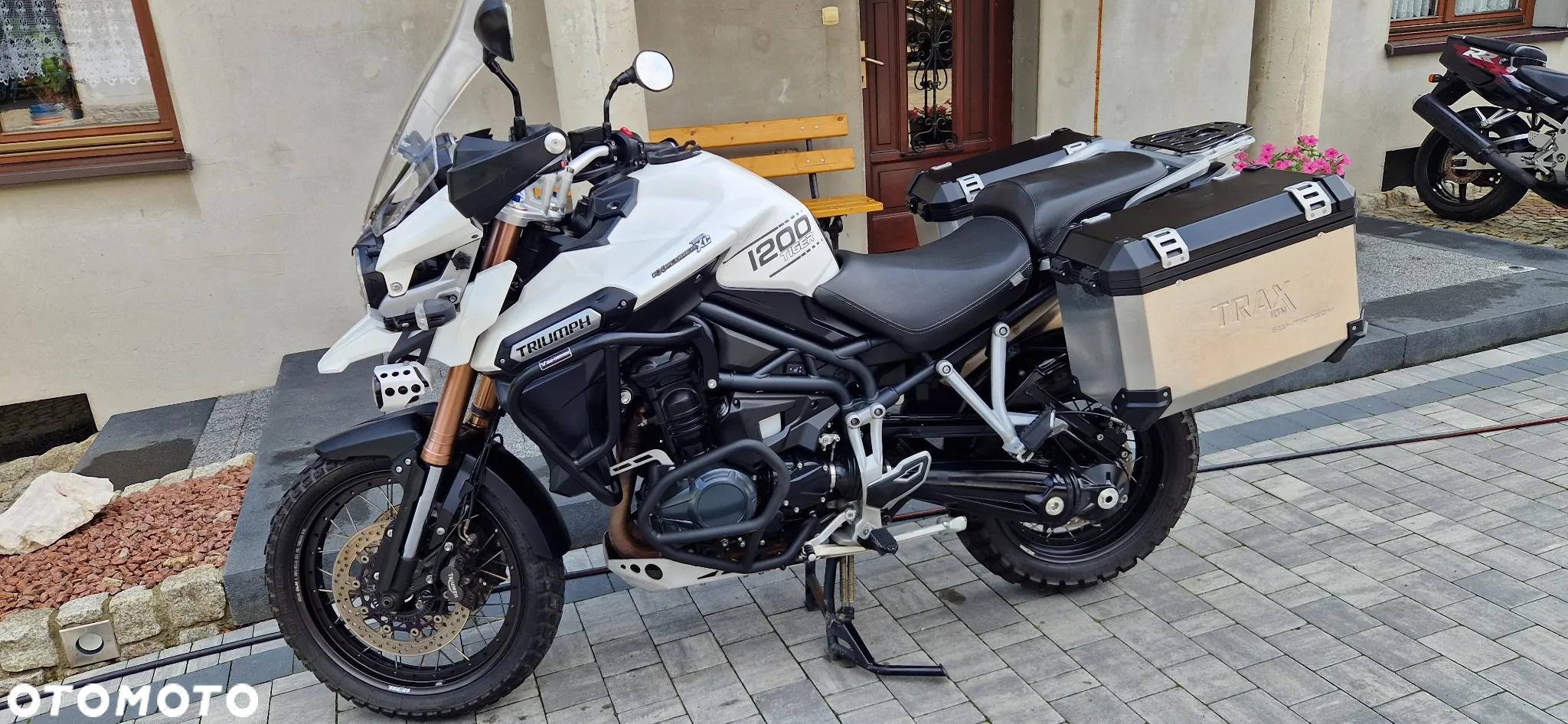 Triumph Tiger - 20