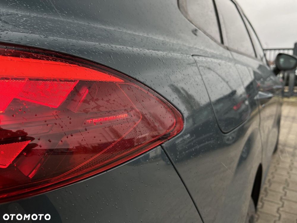 Cupra Terramar - 14