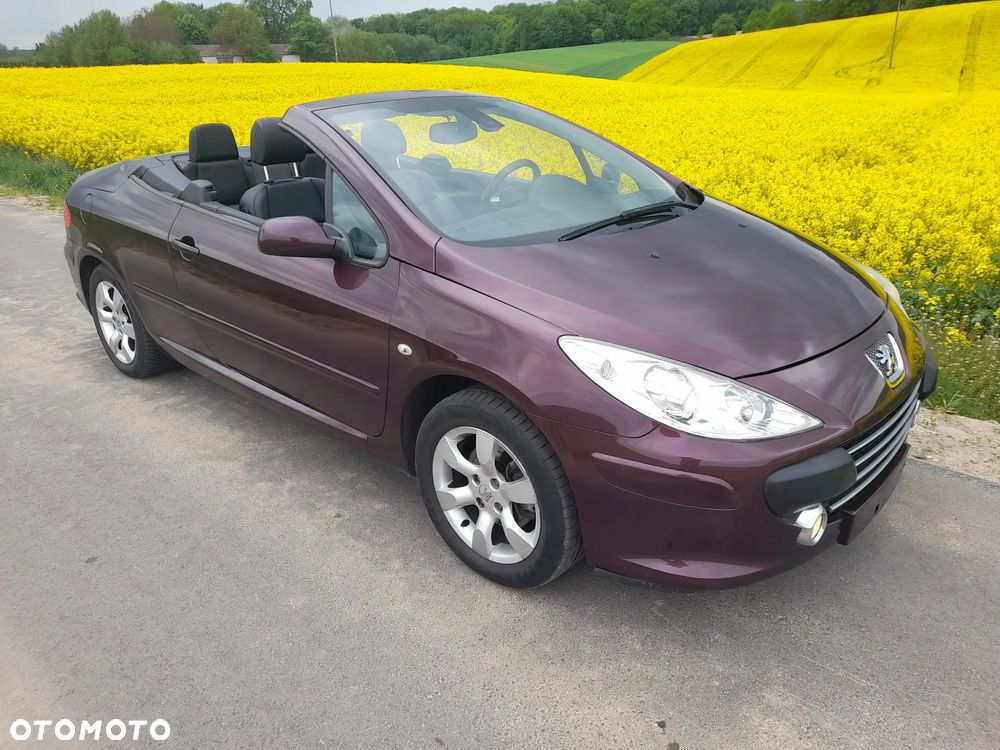 Peugeot 307 CC - 16
