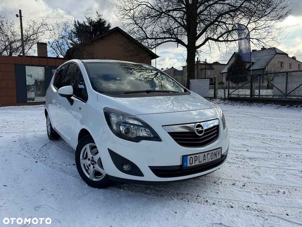 Opel Meriva 1.4 Ecoflex Color Edition - 17
