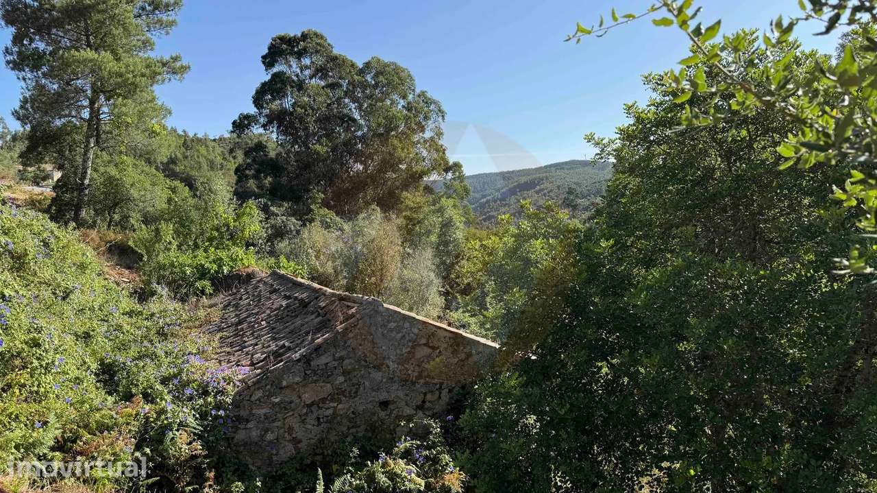 Oportunidade Única na Serra de Monchique! - Grande imagem: 5/15