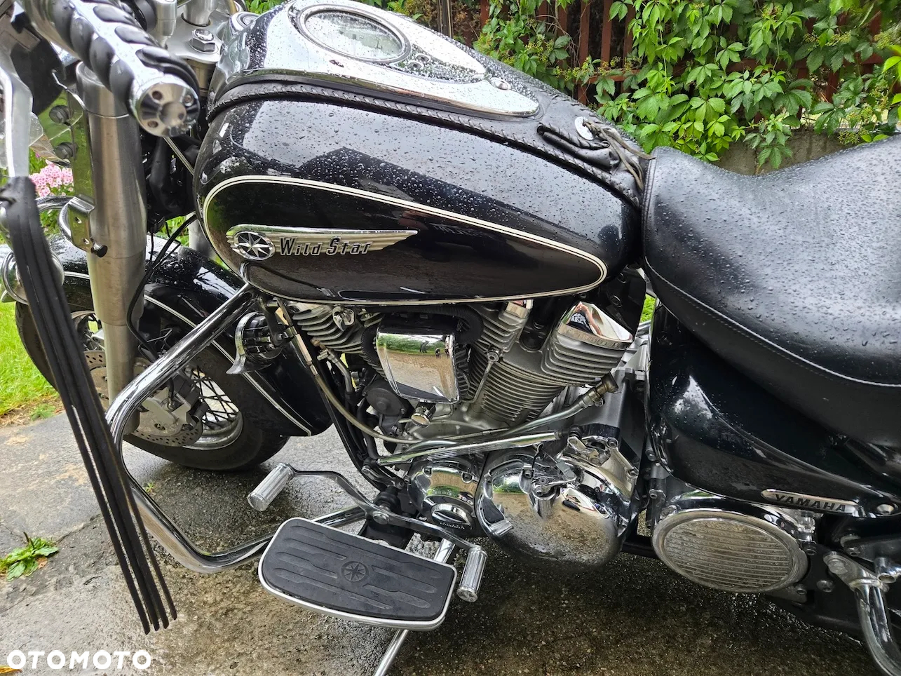 Yamaha Wild star - 6