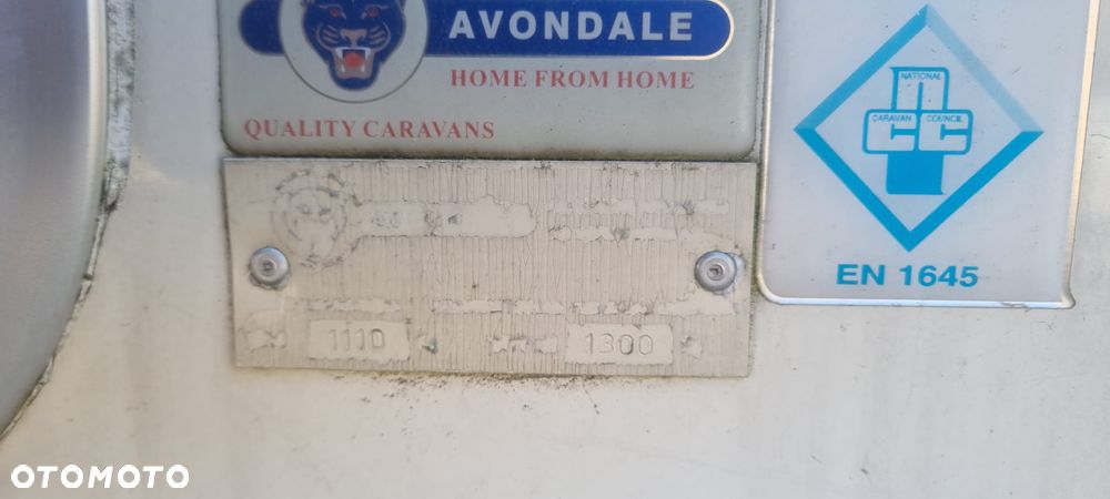 Avondale Argente - 37