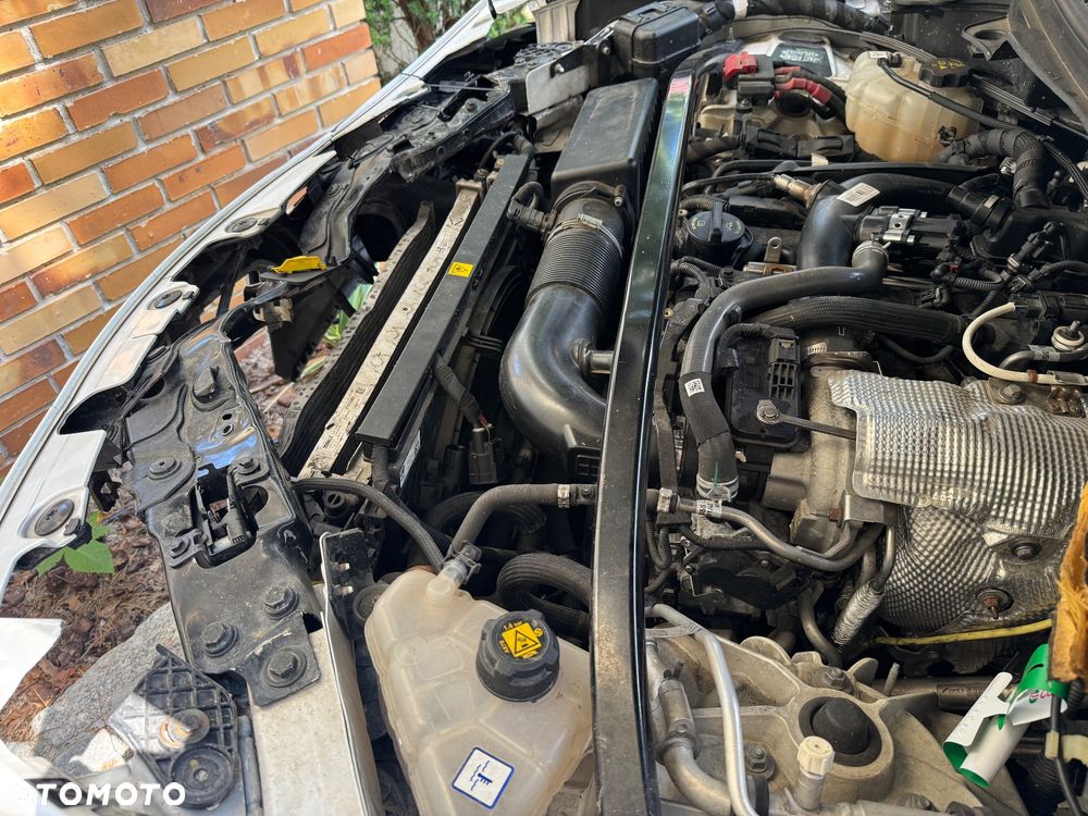 Alfa Romeo Stelvio 2.0 Turbo Veloce TI Q4 - 17