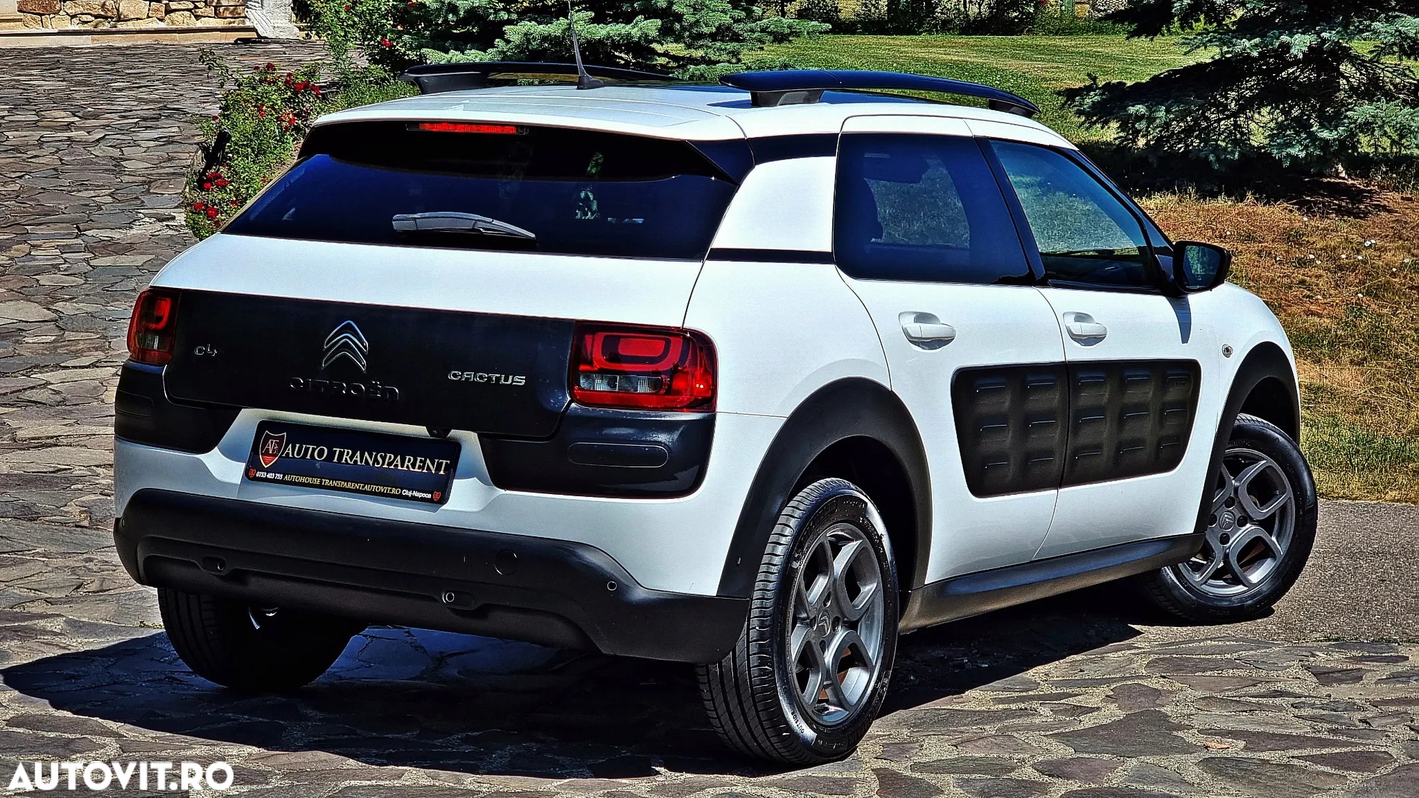 Citroën C4 Cactus Pure Tech 110 Stop&Start EAT6 Shine - 19