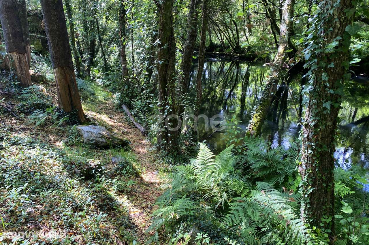 Terreno com Potencial para Turismo em Espaço Rural, Forjães, Espose... - Grande imagem: 3/15