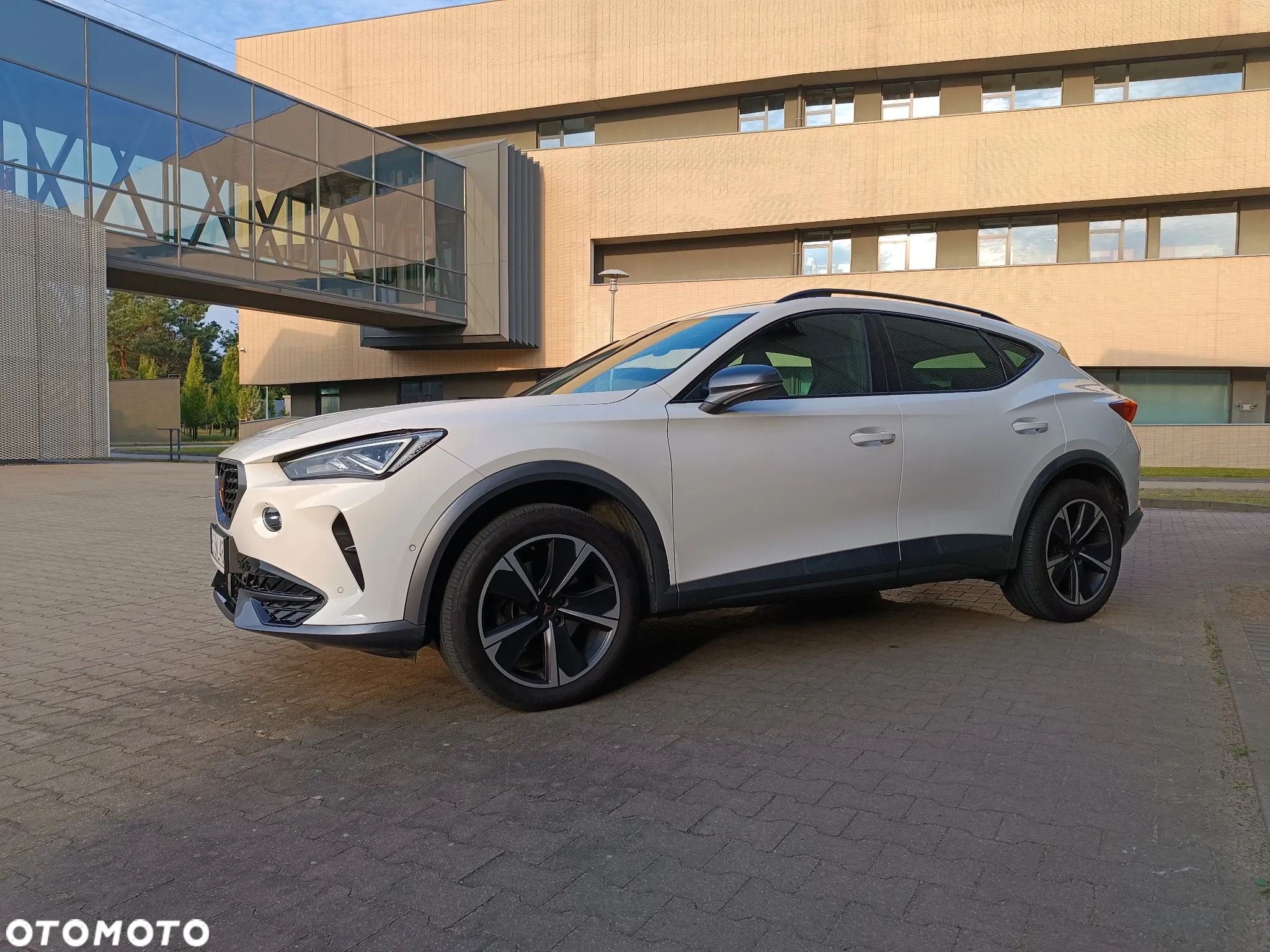 Cupra Formentor 1.5 TSI DSG - 2