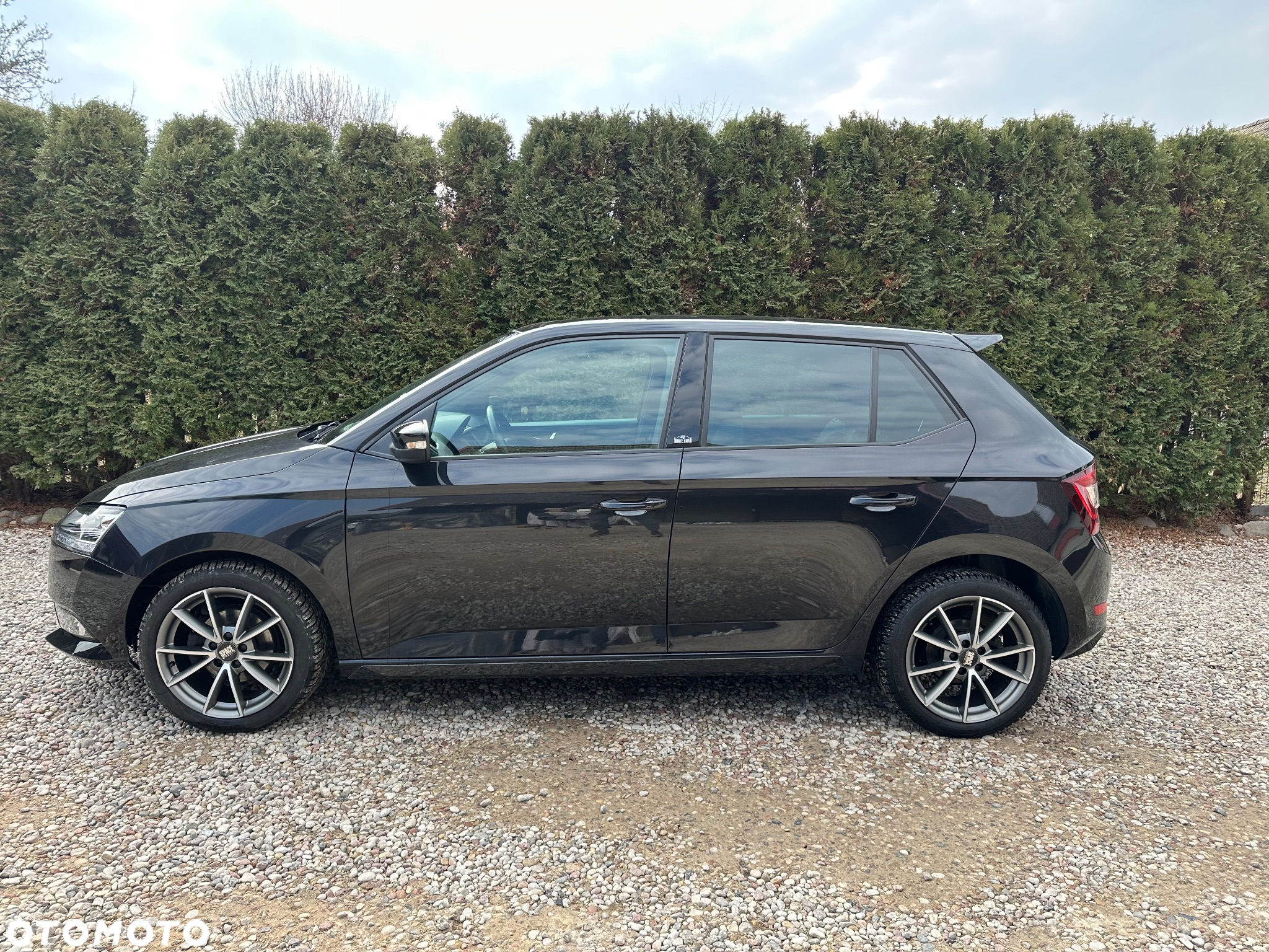 Skoda Fabia 1.0 TSI Monte Carlo - 10