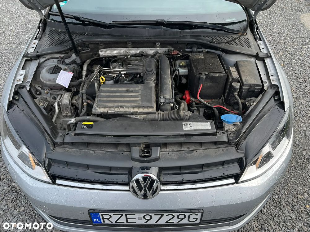 Volkswagen Golf - 18