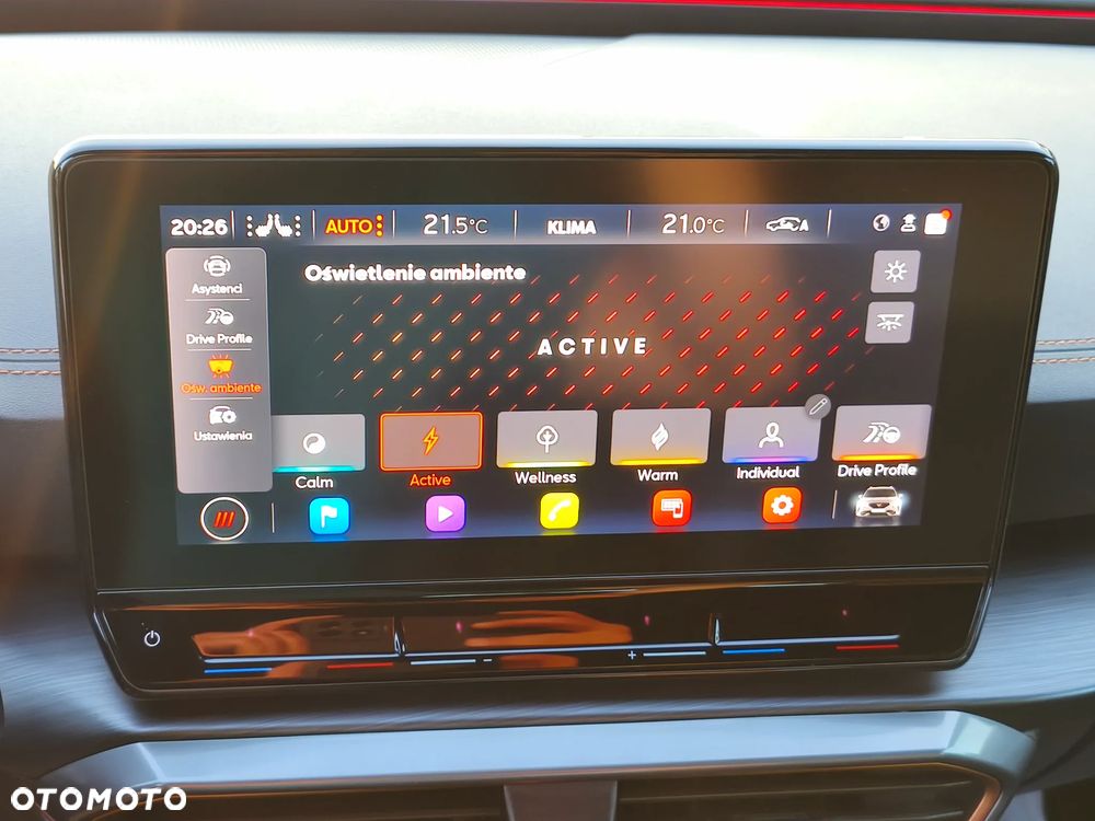 Cupra Formentor 1.5 TSI DSG Tribe Edition - 24