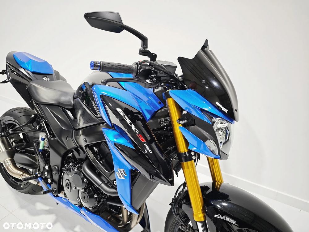 Suzuki GSX - 13