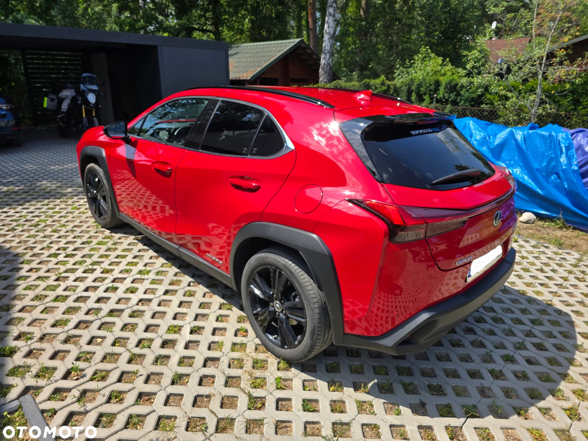 Lexus UX 250h GPF F Impression 2WD - 5