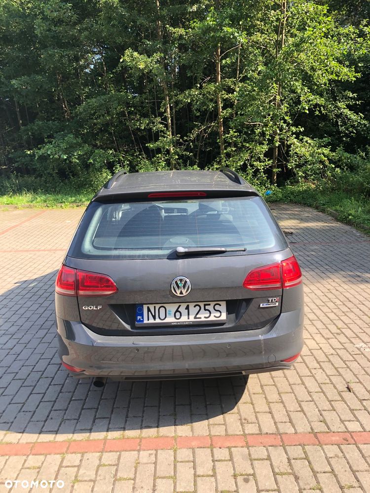 Volkswagen Golf 1.6 TDI BMT Comfortline - 4