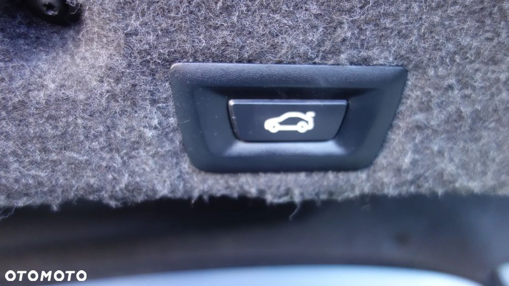 BMW Seria 5 520d Luxury Line - 31