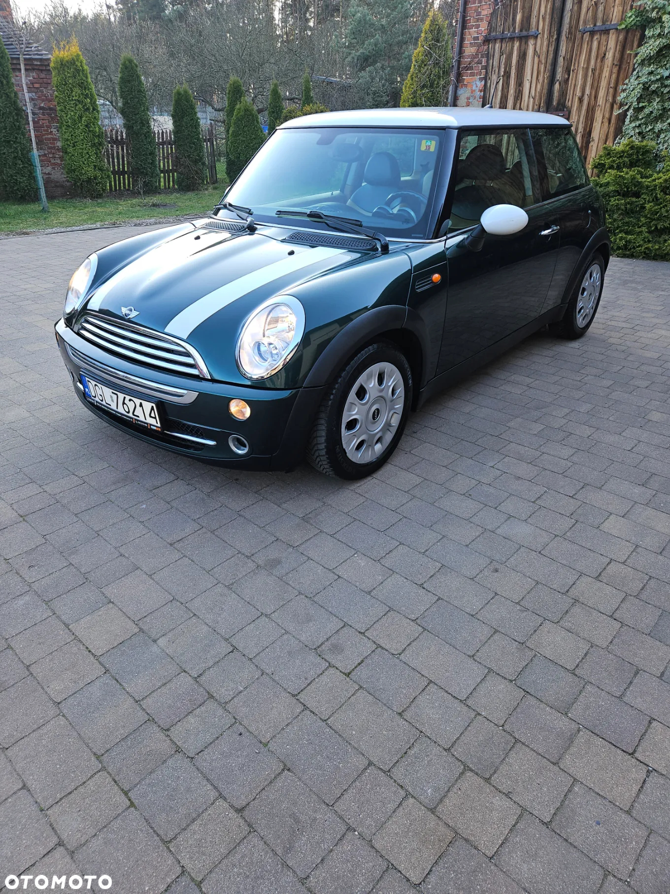 MINI Cooper Checkmate - 2