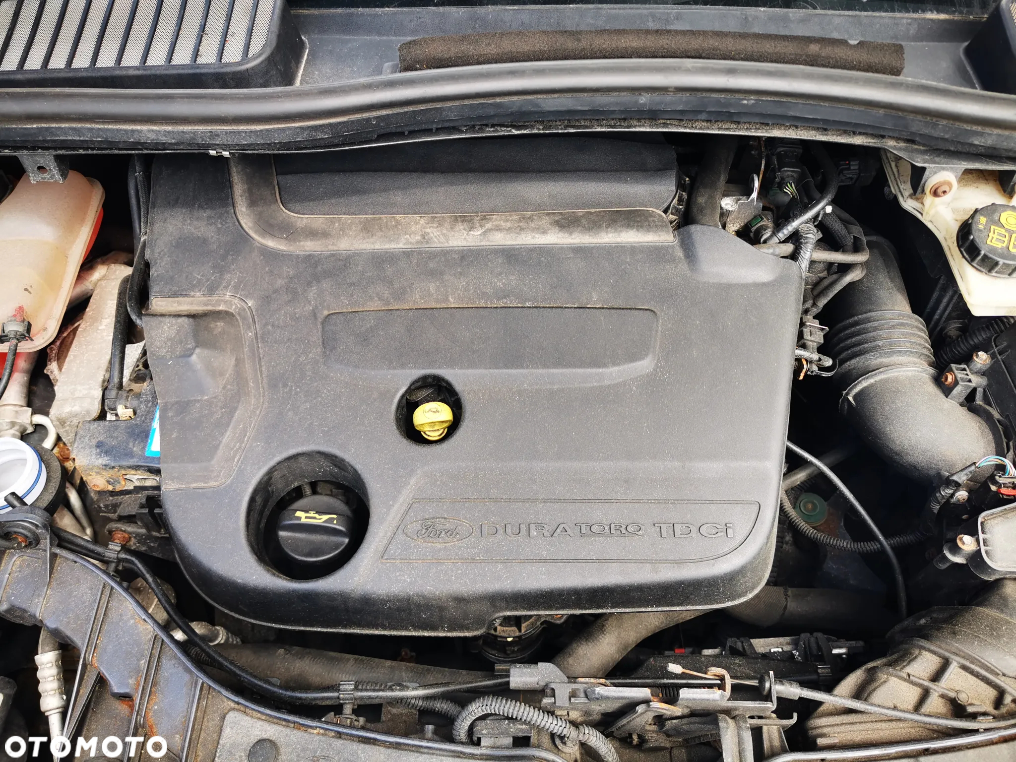 Ford Grand C-MAX 2.0 TDCi Champions Edition - 20