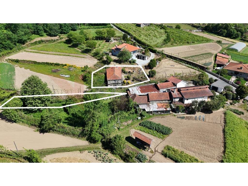 Moradia para Restauro com Terrenos Agrícolas e Pinhal - Grande imagem: 4/7