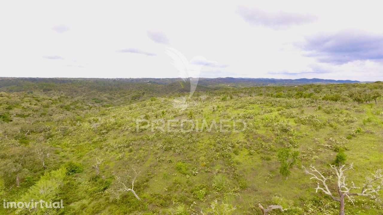 Terreno Rustico com 8.5 hectares - Grande imagem: 5/32