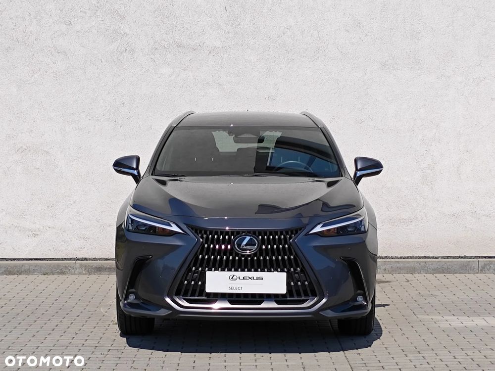 Lexus NX 350h Prestige 2WD - 7