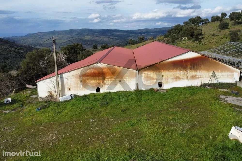 Armazém em Mirandela - 602m² de Oportunidade - Grande imagem: 5/9