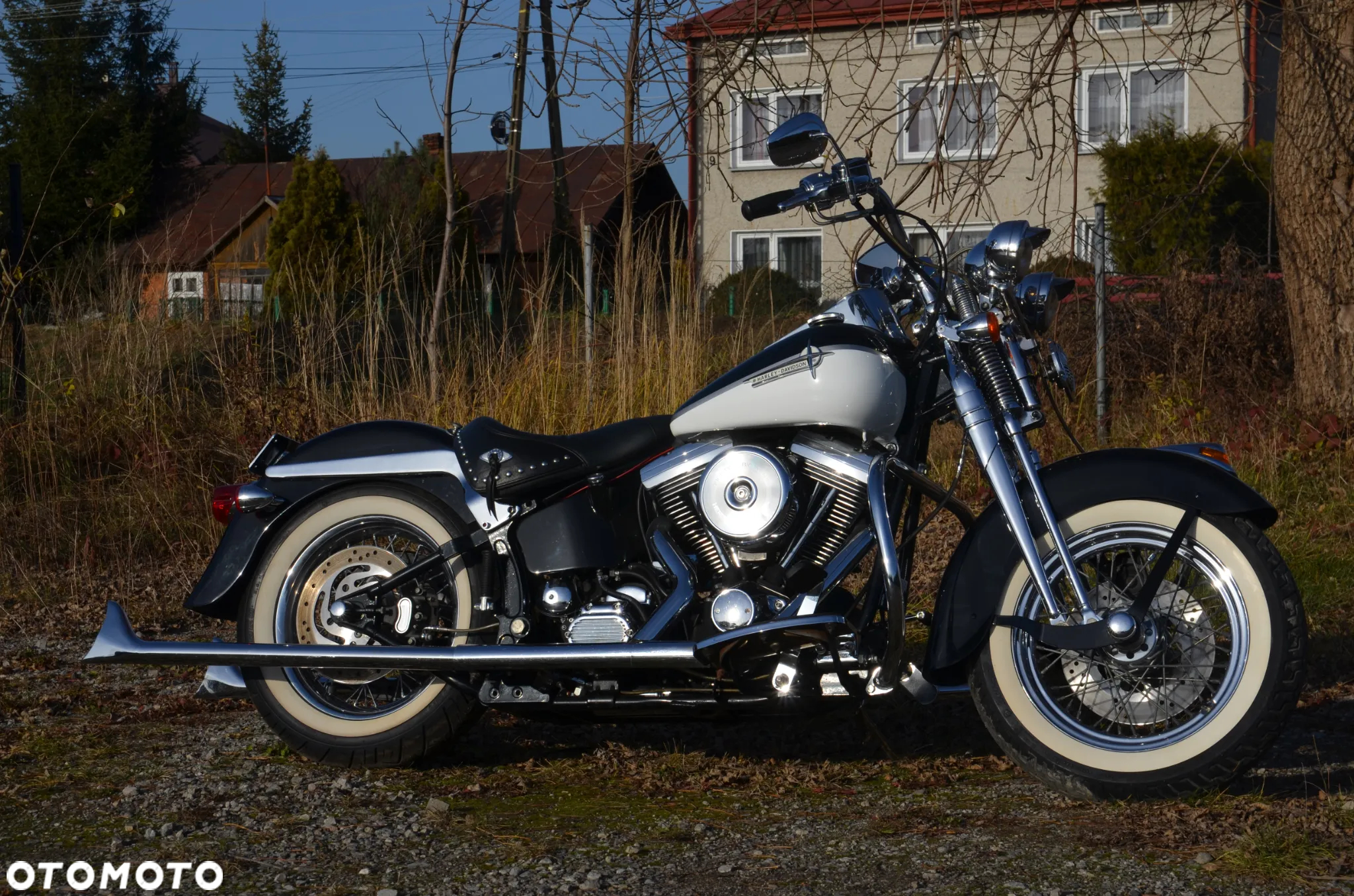 Harley-Davidson Softail Springer Classic - 6