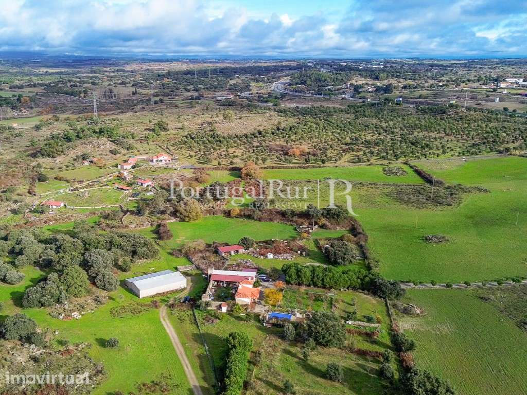Herdade de 103 ha confinante com o Rio Ocreza em Castelo Branco - Grande imagem: 2/60