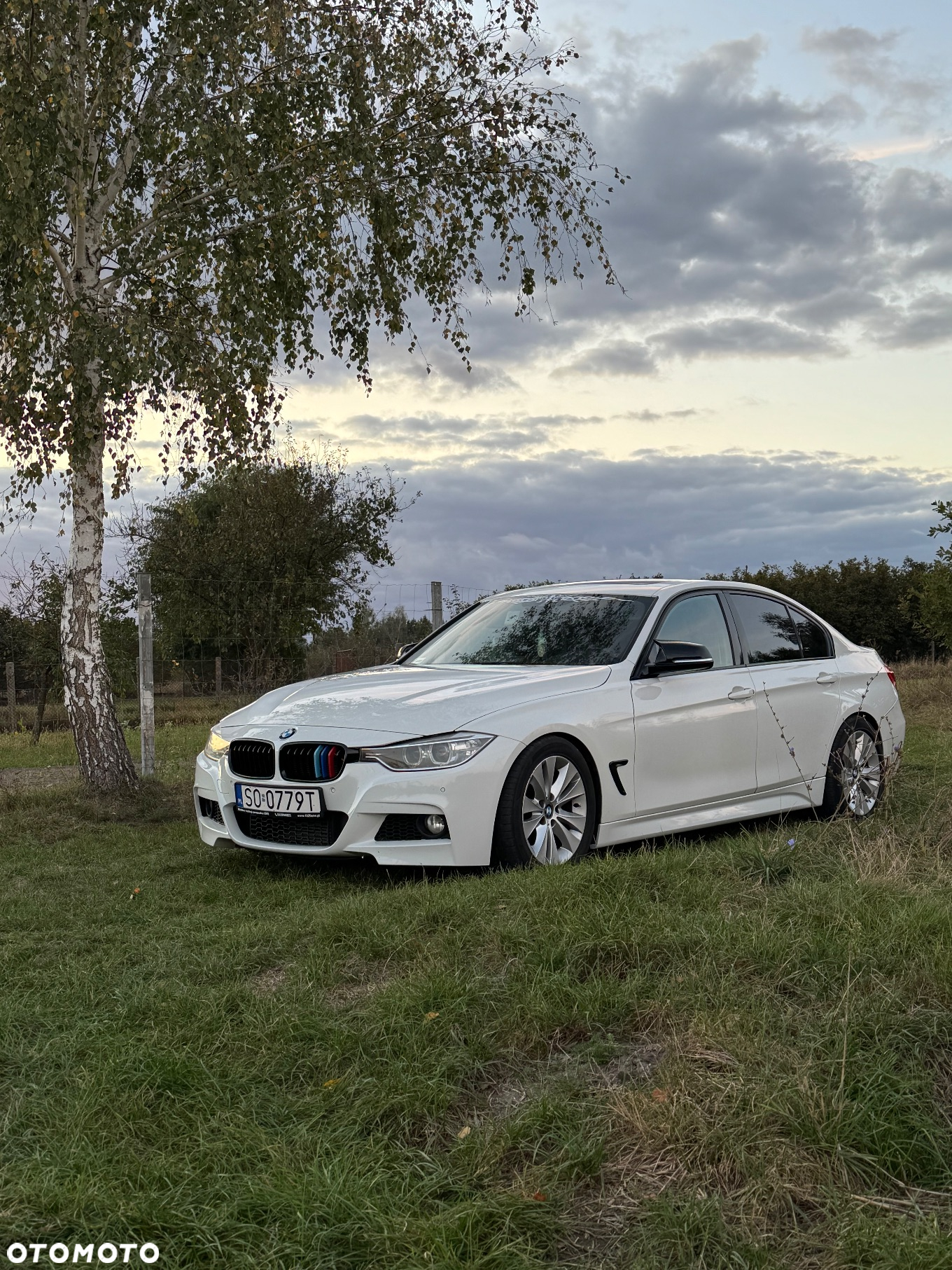 BMW Seria 3 - 15