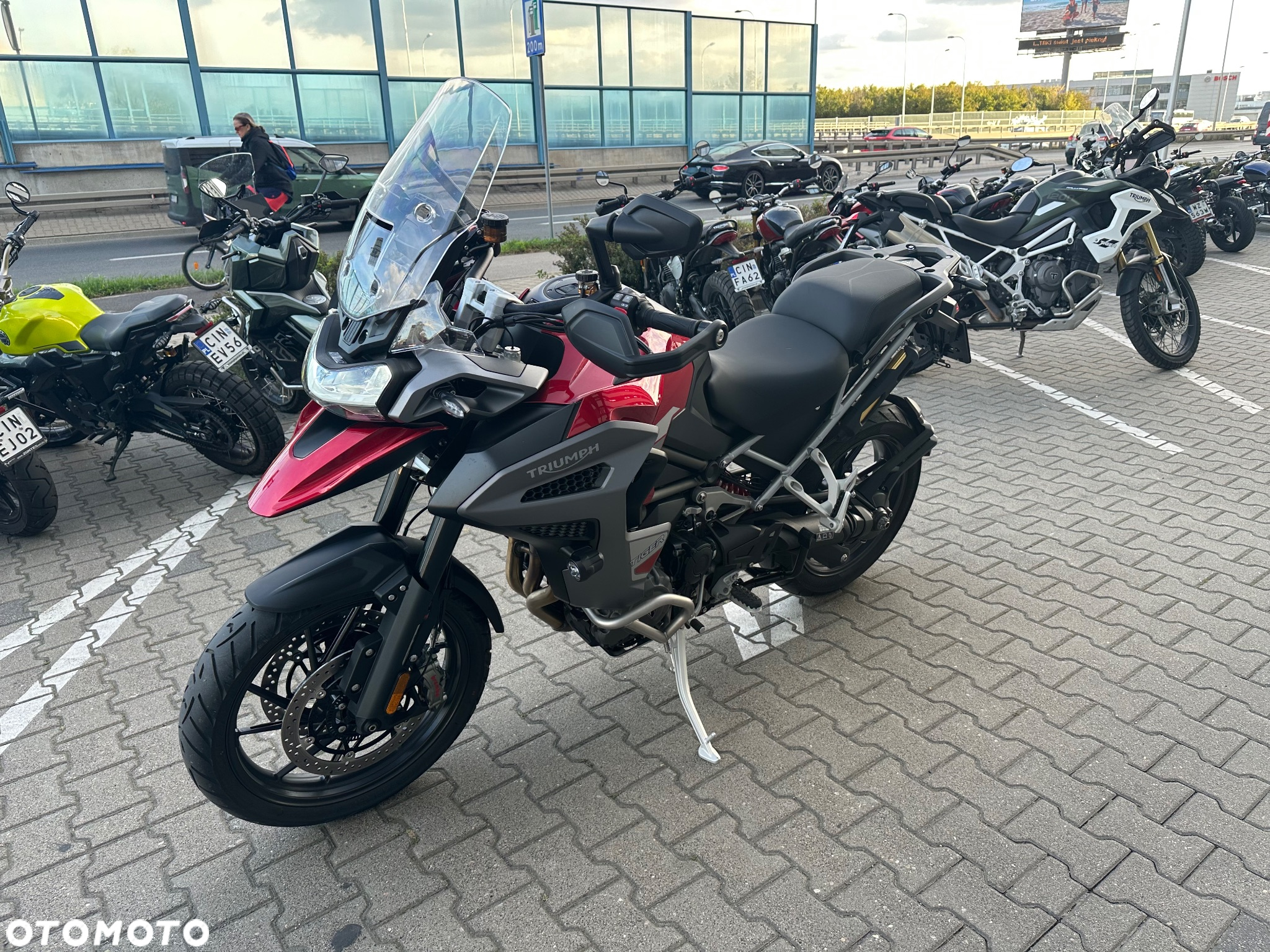 Triumph Tiger - 7