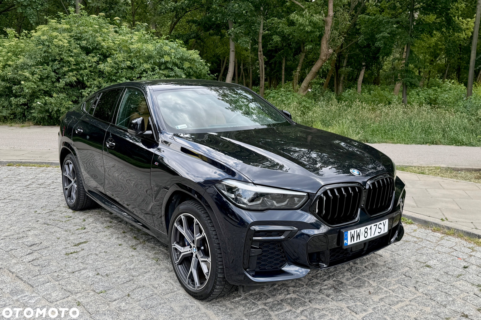 BMW X6 xDrive30d - 2