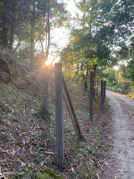 Vende-se terreno perto do Gerês - Grande imagem: 3/7