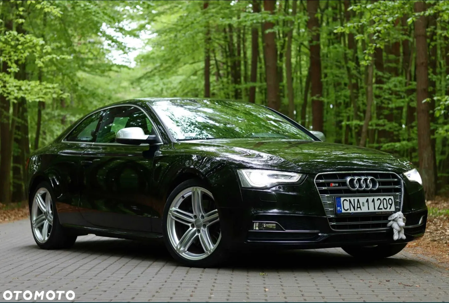 Audi S5 4.2 Quattro Tiptr - 6