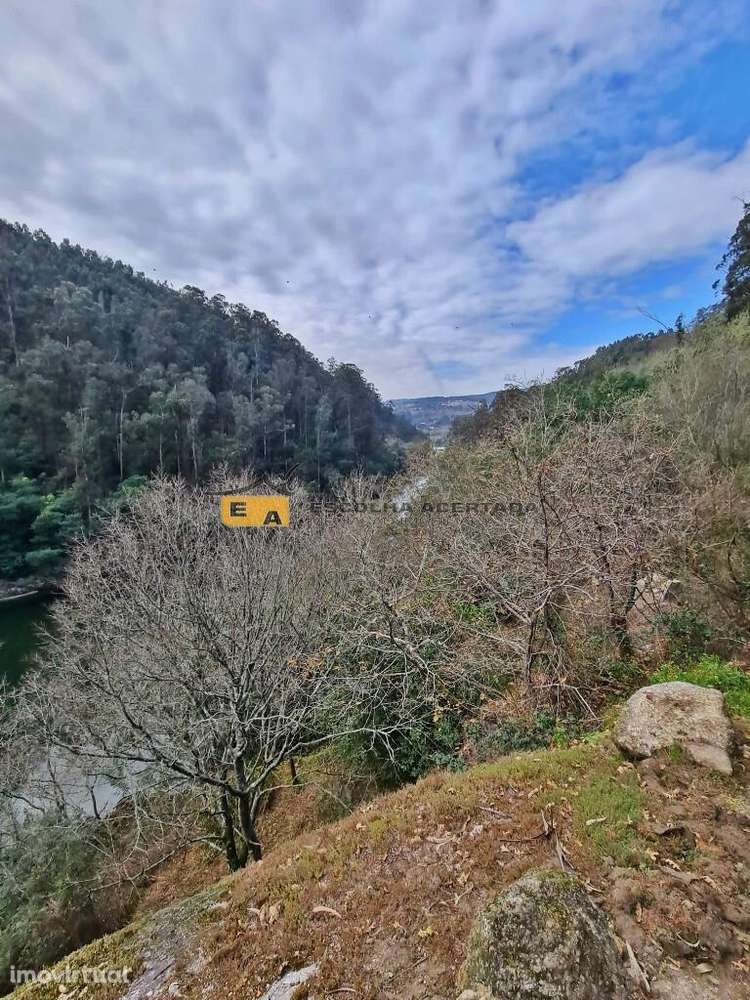 Quinta das Fontainhas - Grande imagem: 3/32