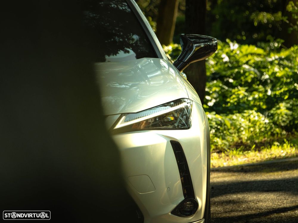 Lexus UX 250h Special Edition (LCA) - 16