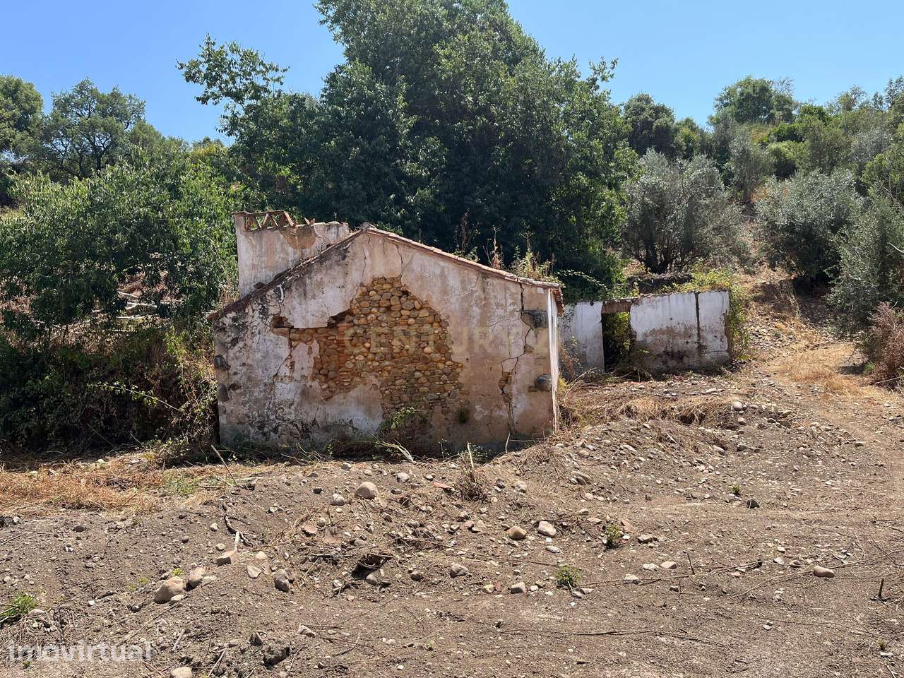 Terreno com 10 hectares - Grande imagem: 4/13