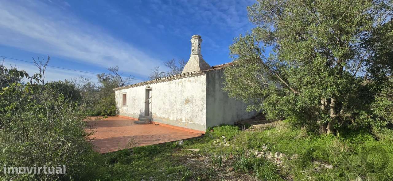 Quinta 3ha em Tavira com Casa para Recuperar | Investimento Algarve | - Grande imagem: 2/19
