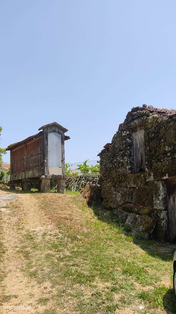 Moradia histórica com brasão e 800m2 de encanto rural - Grande imagem: 5/12