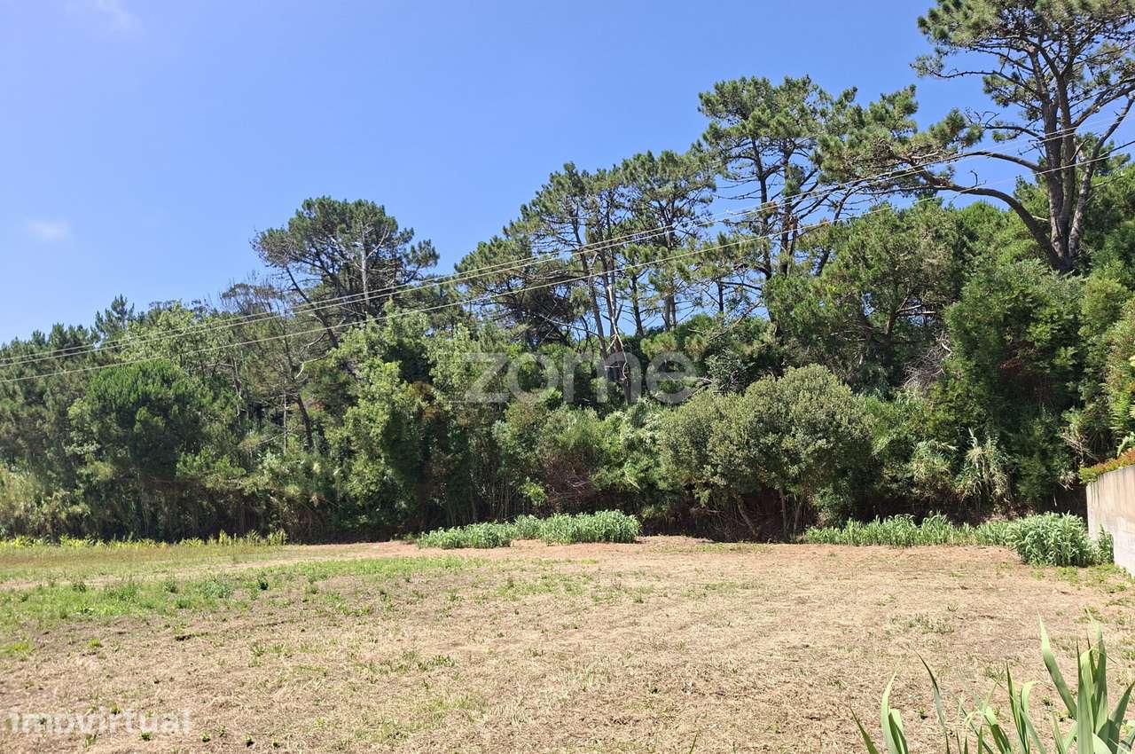 Terreno com viabilidade de Construção | 4.040 m² - Grande imagem: 5/19