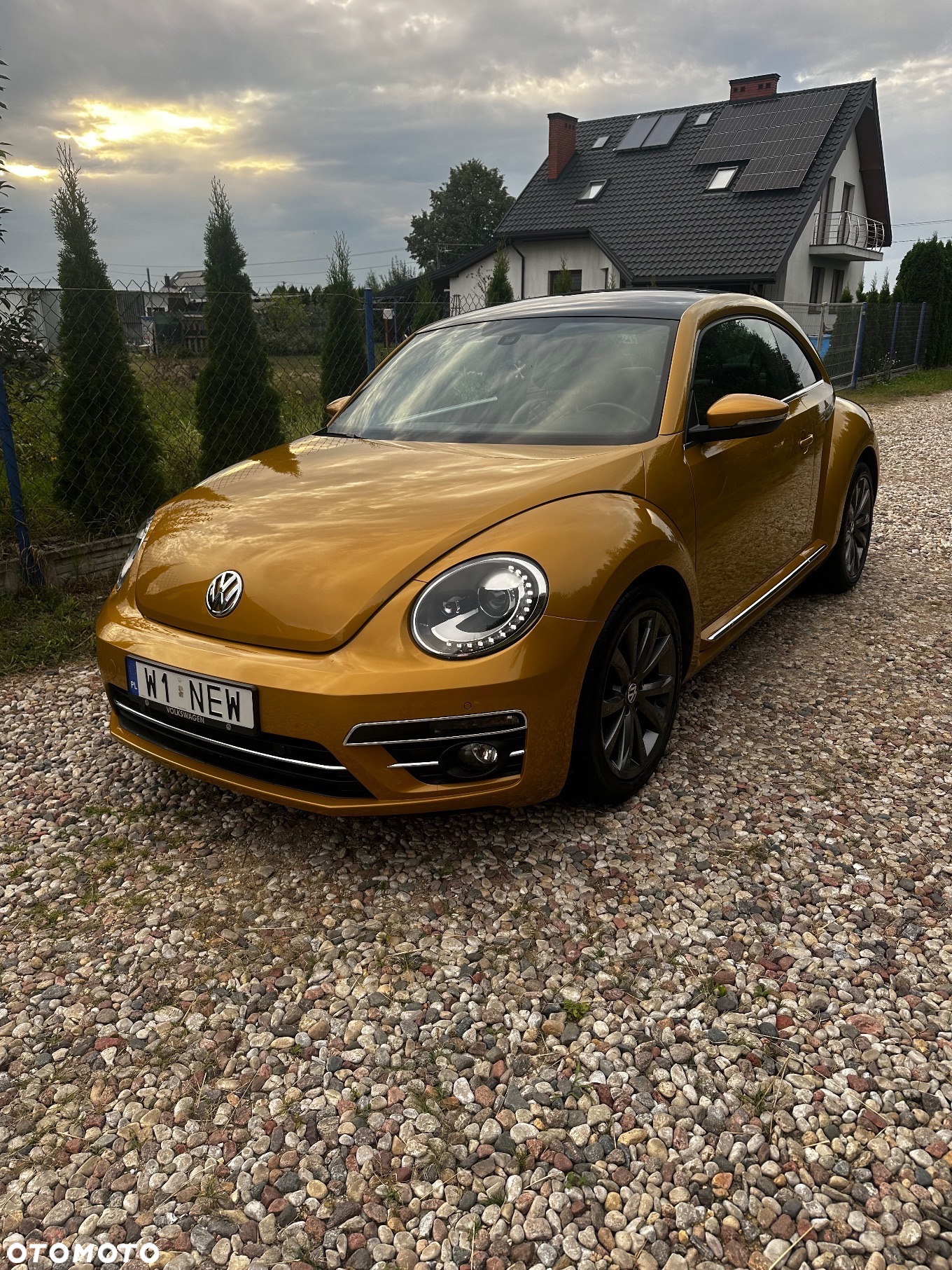 Volkswagen Beetle - 18