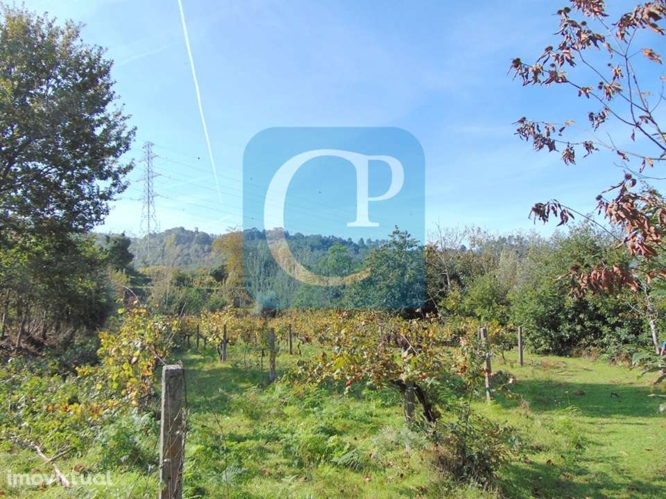 Propriedade em Cinfães do Douro para restauro, Viseu - Grande imagem: 3/17