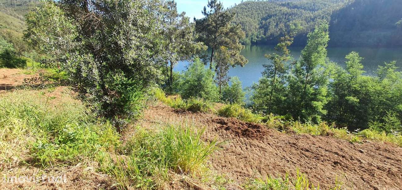 Excelente Terreno com acesso feito ao rio - Grande imagem: 3/9