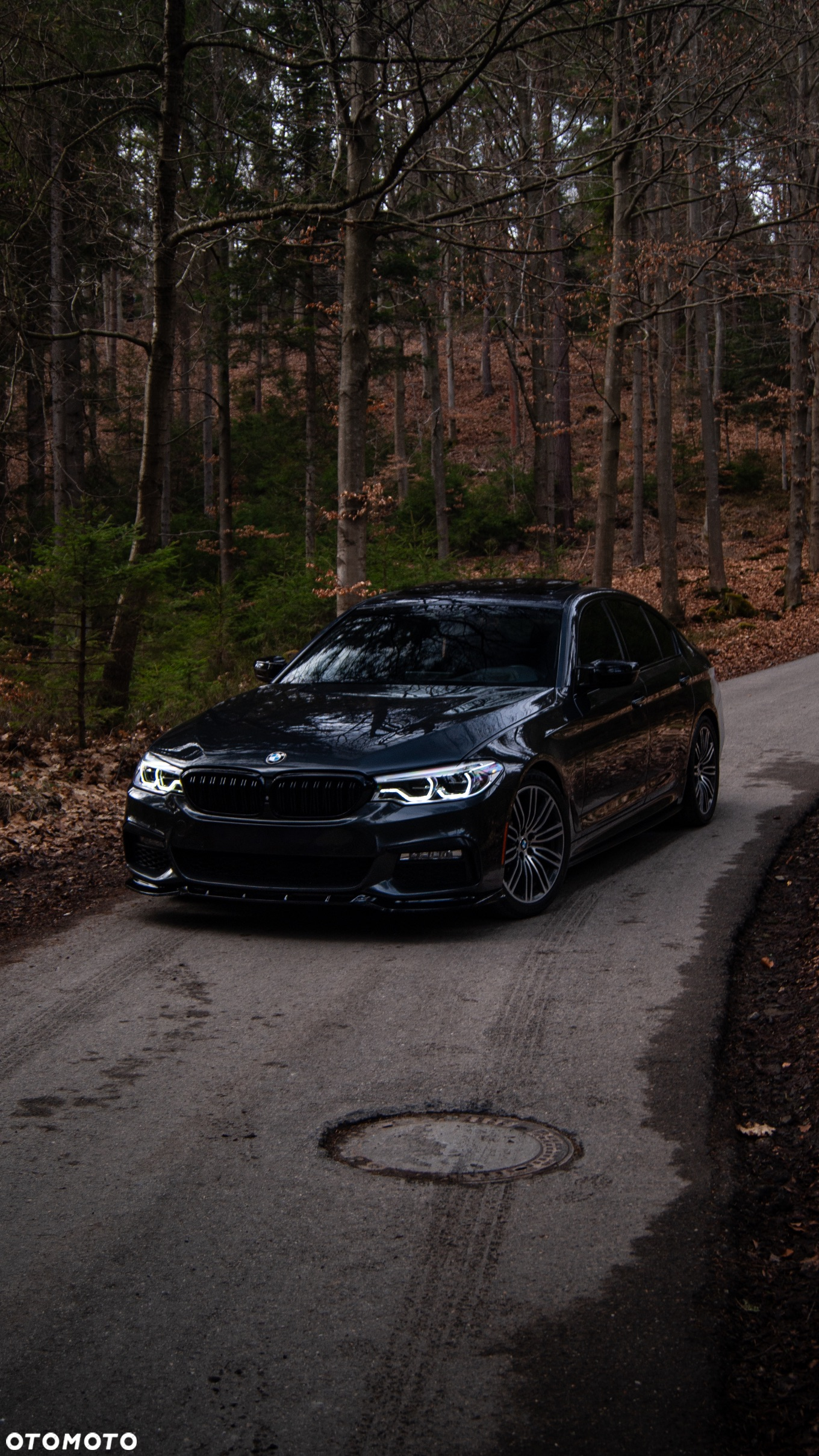 BMW Seria 5 - 7
