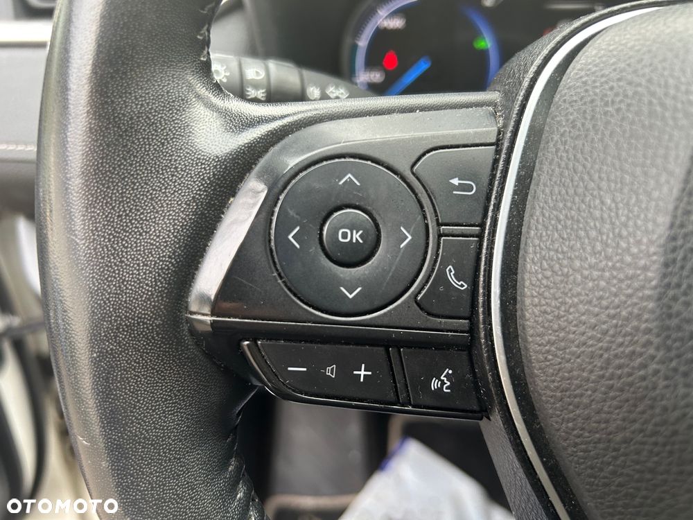 Toyota RAV4 2.5 Hybrid Executive 4x2 - 25