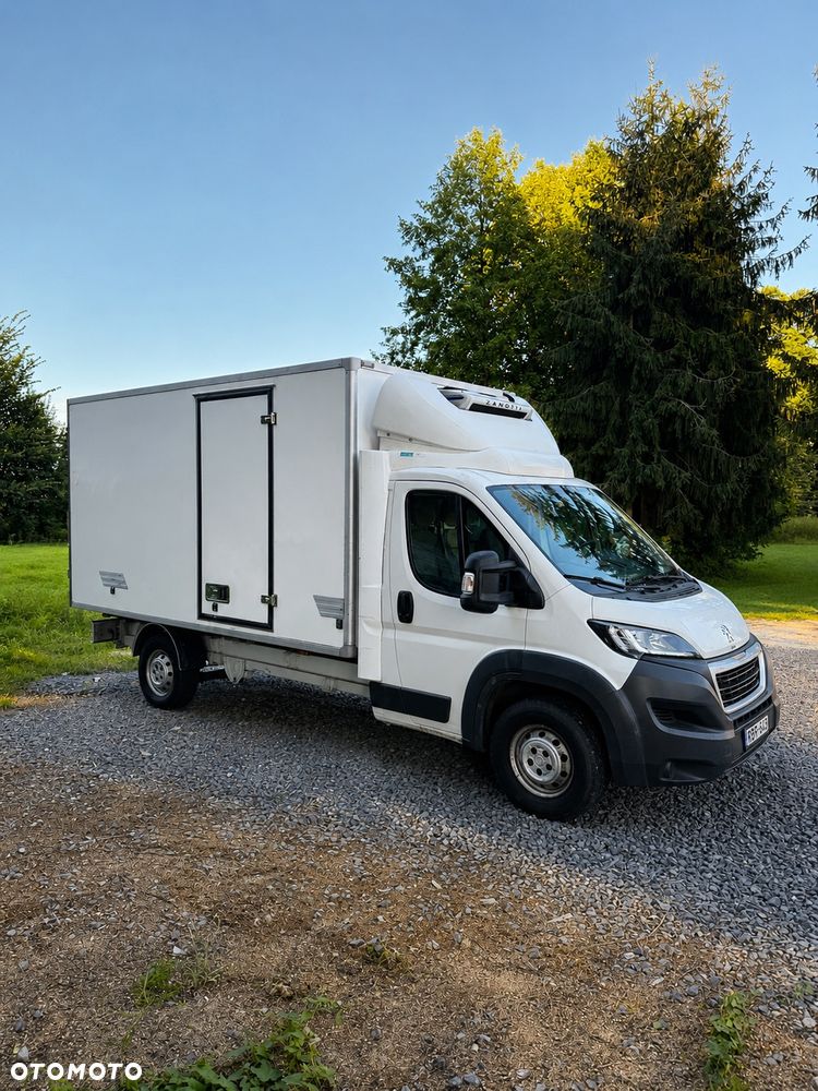 Peugeot PL SALON | 3.0 HDI | CHŁODNIA 230v | BOXER IGLOCAR | GRUBA ZABUDOWA - 5
