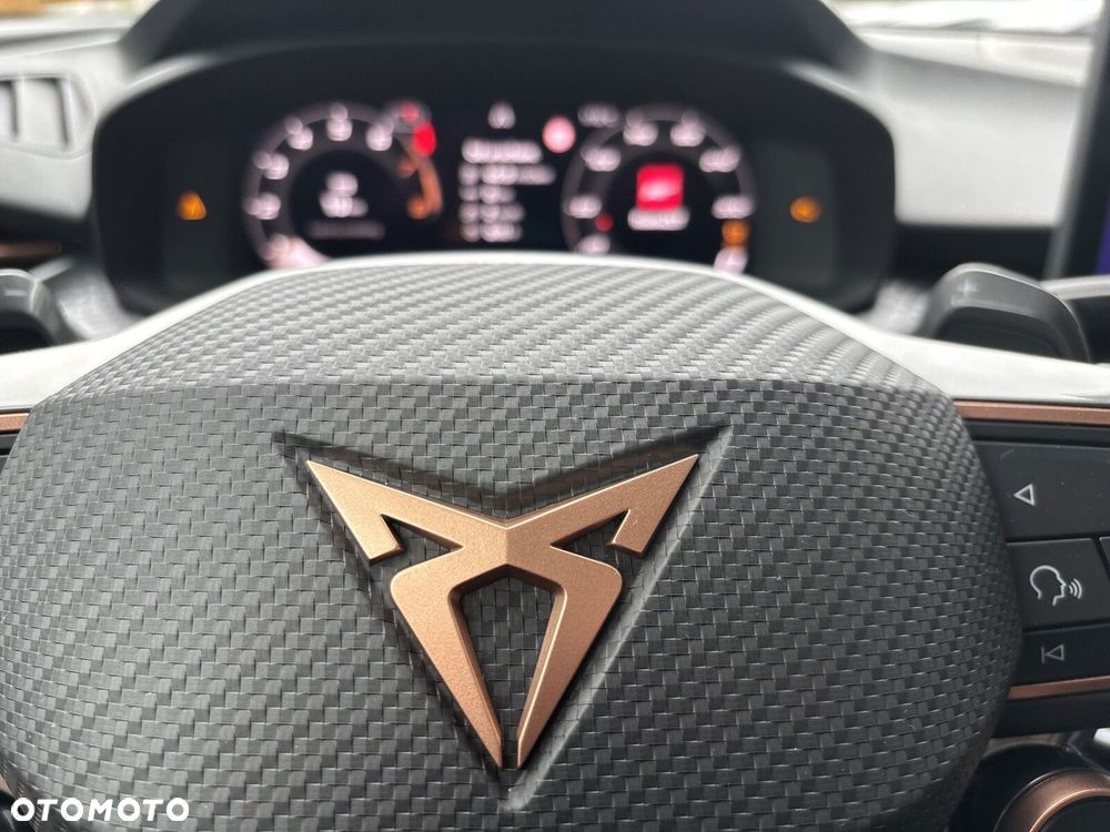 Cupra Terramar 2.0 TSI 4Drive Advantage Edition DSG - 24