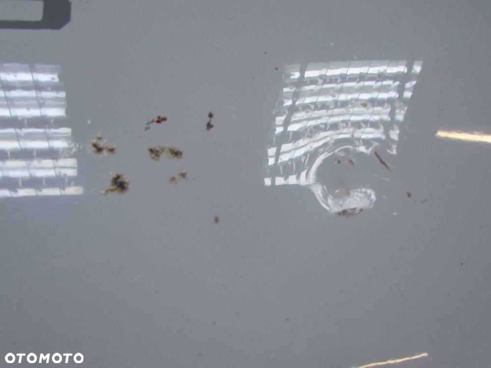 ISUZU N75 5.2 07-18 GRILL ATRAPA MASKA - 5