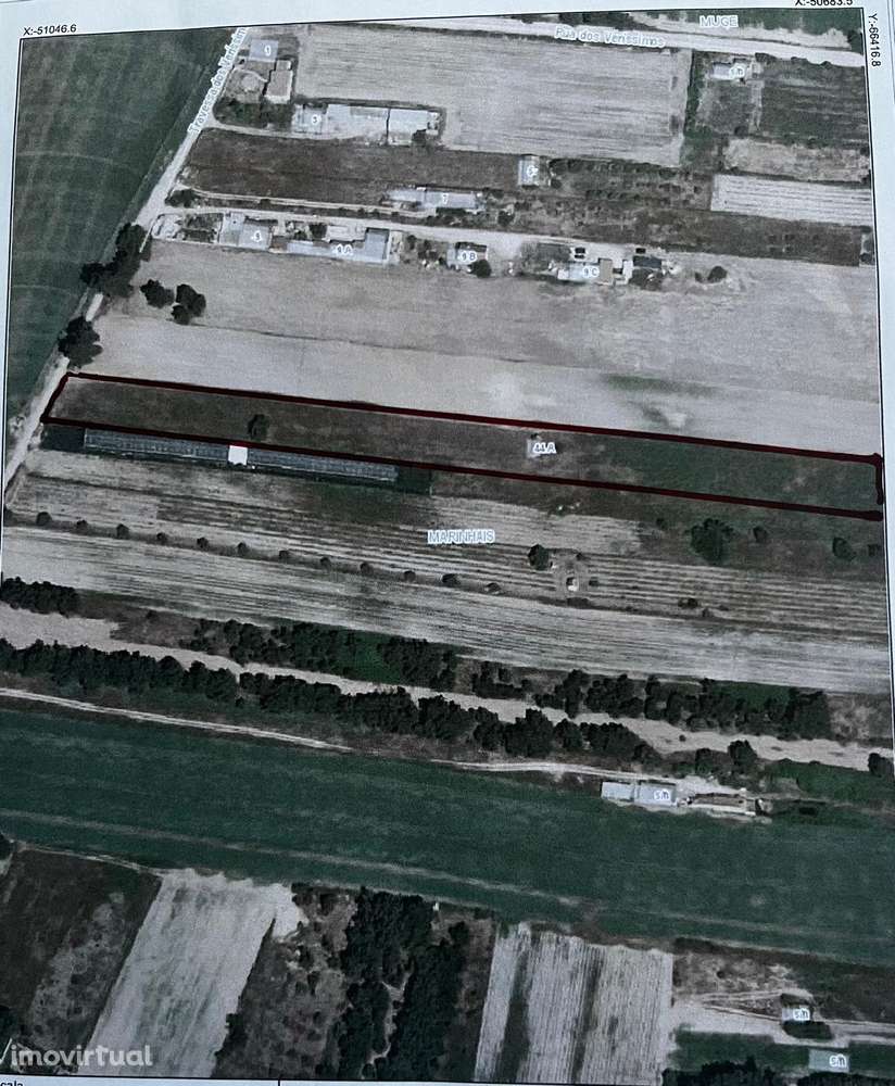 Terreno rustico 5000m2 com casa rustica 50 m2 em Marinhais - Grande imagem: 4/4